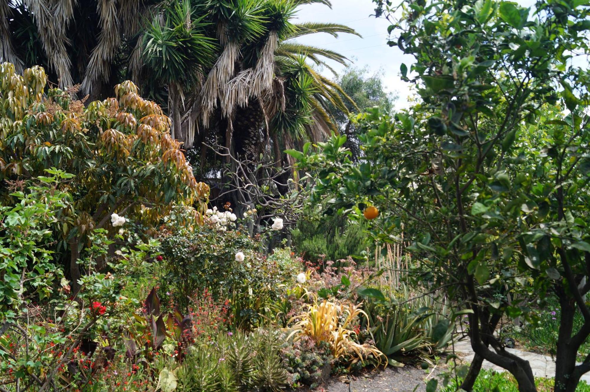 La Casita Del Jardinero Βίλα Los Llanos De Aridane Εξωτερικό φωτογραφία